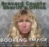 Joan Sava Arrest Mugshot Brevard 03/23/2018