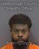 KEVIN TOLIVER Arrest Mugshot Hillsborough 04/17/2025
