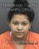 LAURA TRIANA Arrest Mugshot Hillsborough 02/02/2017