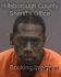 LEE PRICE Arrest Mugshot Hillsborough 06/18/2024