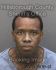 LELAND JOHNSON Arrest Mugshot Hillsborough 07/15/2014