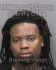 LOUIS BROWN JR Arrest Mugshot Hillsborough 07/07/2013