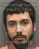 LUIS FELICIANO Arrest Mugshot Hillsborough 09/17/2013