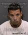 LUIS LUNACOLON Arrest Mugshot Hillsborough 08/25/2013