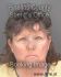 LYNDA HENNIS Arrest Mugshot Pinellas 06/17/2013