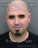 MARK PESONEN Arrest Mugshot Hillsborough 08/24/2013