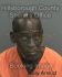 MICHAEL GRAYSON Arrest Mugshot Hillsborough 07/27/2014