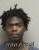 MICHAEL HAYNES Arrest Mugshot Manatee 03/21/2014