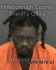 MICHAEL NELSONVICKERS Arrest Mugshot Hillsborough 06/30/2020