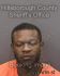 MICHAEL RAMSEY Arrest Mugshot Hillsborough 06/01/2014