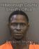 MICHAEL TELFAIR Arrest Mugshot Hillsborough 04/10/2021