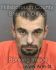 MICHAEL WATSON Arrest Mugshot Hillsborough 07/30/2013