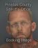 MICHAEL WOODS Arrest Mugshot Pinellas 10/10/2013