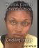 NATASHA ROBINSON Arrest Mugshot Pinellas 07/04/2013