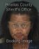 PATRICIA KNIGHT Arrest Mugshot Pinellas 06/11/2013