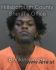 RASHAD JOHNSON Arrest Mugshot Hillsborough 11/19/2020