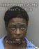 REGGIE HARRIS JR Arrest Mugshot Hillsborough 07/17/2013