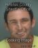 RICHARD THIBODEAU Arrest Mugshot Pinellas 07/02/2013