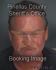 ROBERT RAY Arrest Mugshot Pinellas 07/31/2013