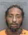 SAMUEL LEE Arrest Mugshot Hillsborough 08/13/2013