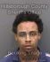 SEAN FORD Arrest Mugshot Hillsborough 06/04/2013