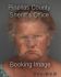 SUSAN HARRIS Arrest Mugshot Pinellas 12/09/2013