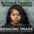 Shelby Loftis Arrest Mugshot Brevard 11/21/2024