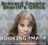Stacy Weaver Arrest Mugshot Brevard 06/08/2016