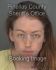 TARAH INGLIS Arrest Mugshot Pinellas 12/30/2013