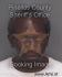 TERRANCE MOORE Arrest Mugshot Pinellas 06/20/2013