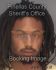 TERRANCE TAYLOR Arrest Mugshot Pinellas 08/02/2013