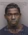 THEODORE WILLIAMS Arrest Mugshot Hillsborough 07/23/2013