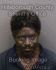 THOMAS DAVIS Arrest Mugshot Hillsborough 05/20/2015