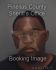 TRAVIS ANTHONY Arrest Mugshot Pinellas 11/04/2013