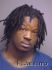 TYRELL ROBINSON Arrest Mugshot Manatee 02/18/2011