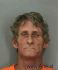 Thomas Wise Arrest Mugshot Polk 8/15/2014