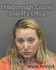 VALERIE ANDERSON Arrest Mugshot Hillsborough 04/05/2016