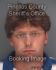 WILLIAM MCBRAYER Arrest Mugshot Pinellas 06/03/2013