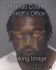 WILLIE GARDNER Arrest Mugshot Pinellas 11/27/2013