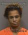 WILLISHA NELSON Arrest Mugshot Hillsborough 01/12/2023