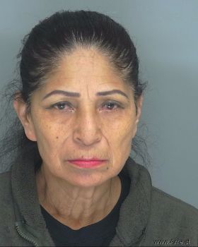 Adela Ela Gonzalez Mugshot