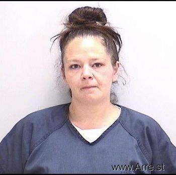 Amanda Leigh Cook Mugshot