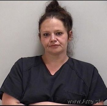 Amanda Leigh Cook Mugshot