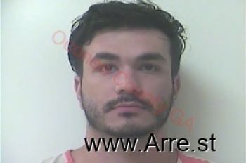 Amir Reza Arabnia Mugshot