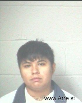 Analissa Marie Perez Mugshot