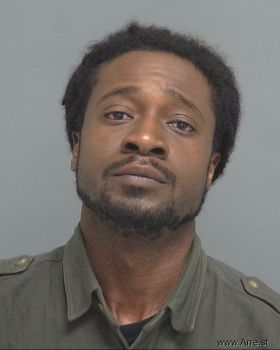 Anthony Reynard Fitzgerald Mugshot