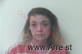 Ashley Michelle Brooks Mugshot