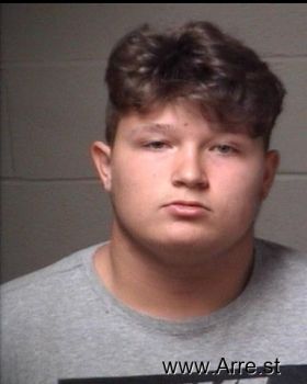 Austin Michael Mann Mugshot