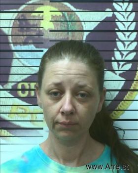 Brandy  Anderson Mugshot