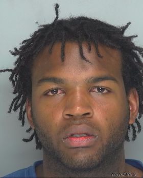 Bradley Meya Hodges Mugshot